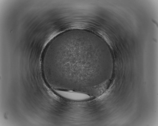 X0000097750779200803141556