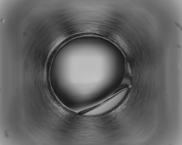 X0000097750780200803141556