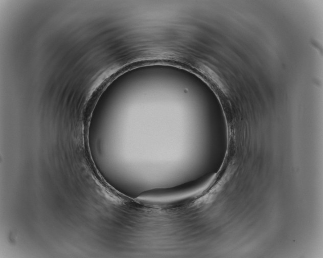 X0000097750781200803141556