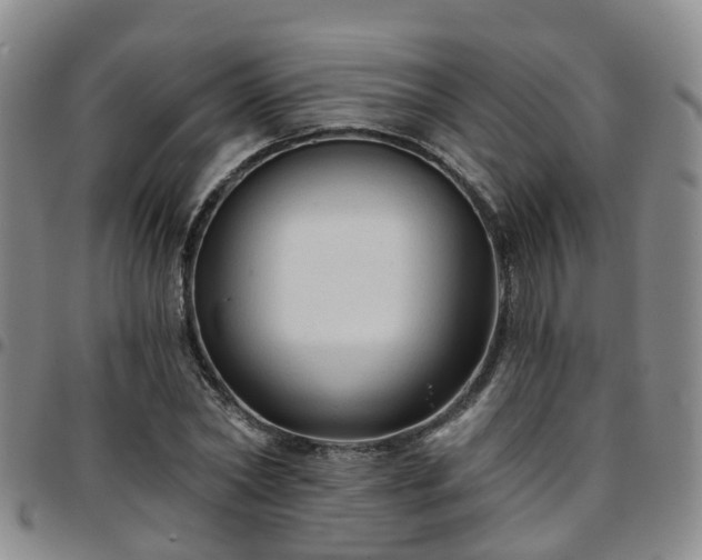 X0000097750782200803141556