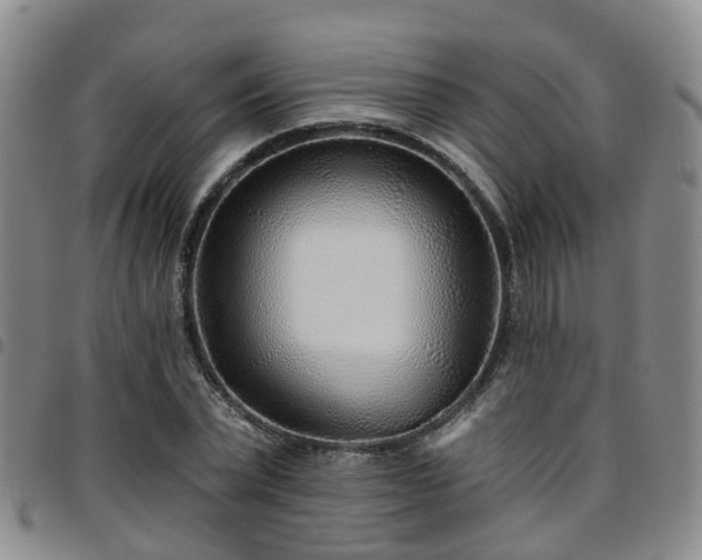 X0000097750783200803141555