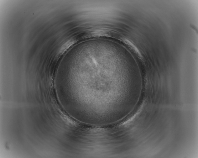 X0000097750785200803141555