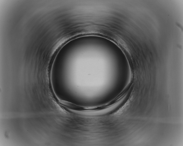 X0000097750789200803141555