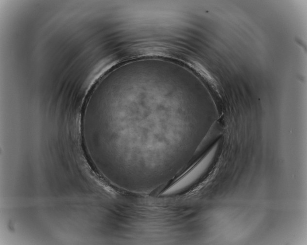 X0000097750790200803141555