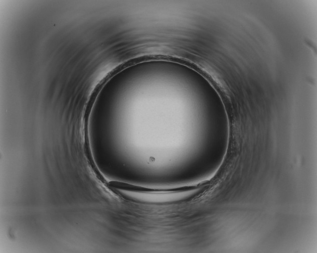 X0000097750791200803141555