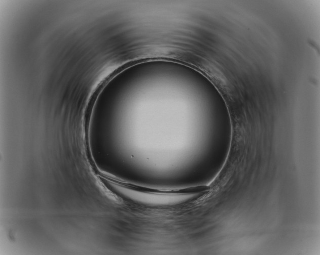 X0000097750792200803141555