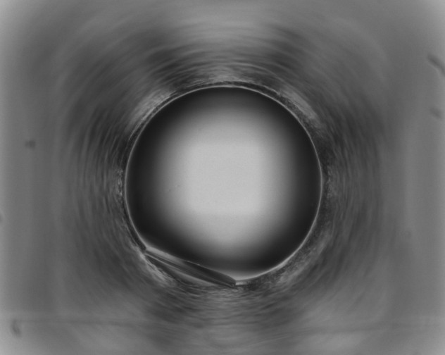 X0000097750793200803141555