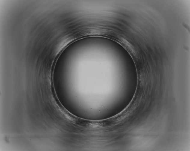 X0000097750794200803141555