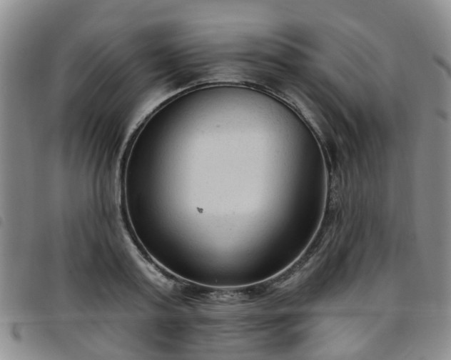 X0000097750795200803141555