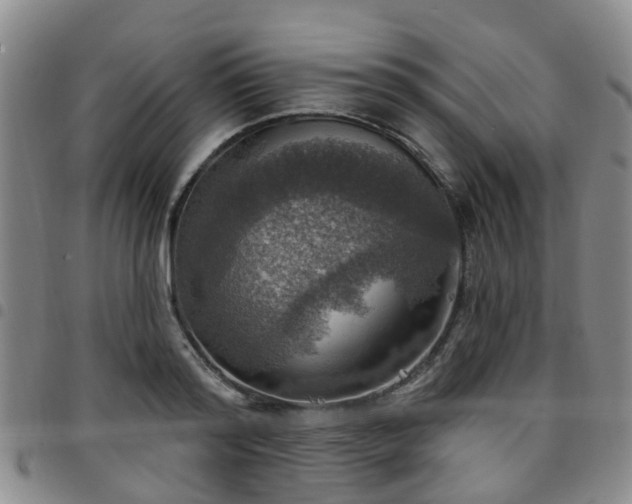 X0000097750796200803141555