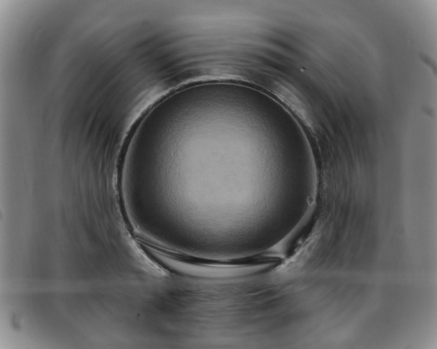 X0000097750797200803141555