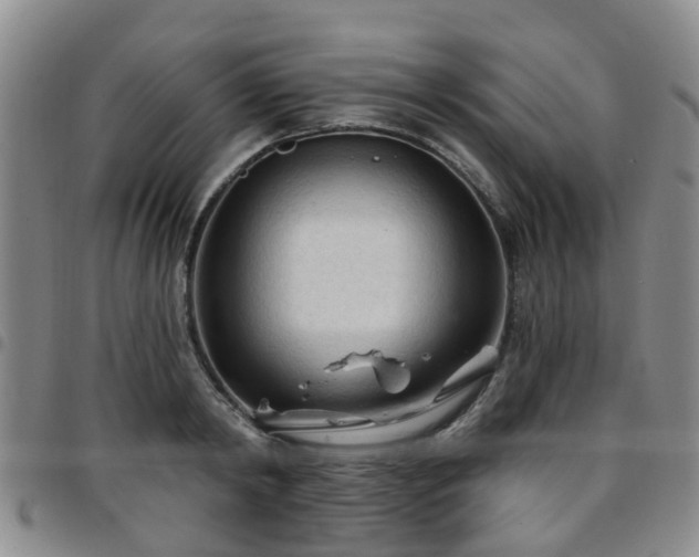 X0000097750798200803141555