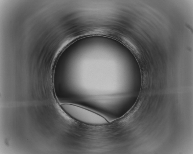 X0000097750800200803141555