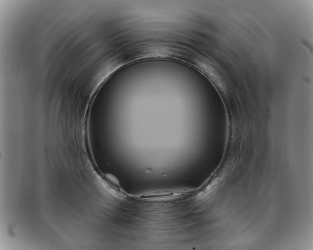 X0000097750802200803141555