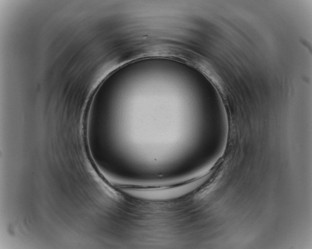 X0000097750803200803141555