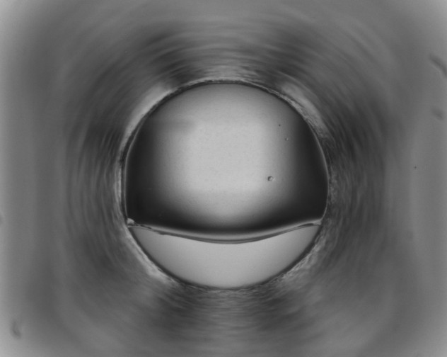 X0000097750804200803141555