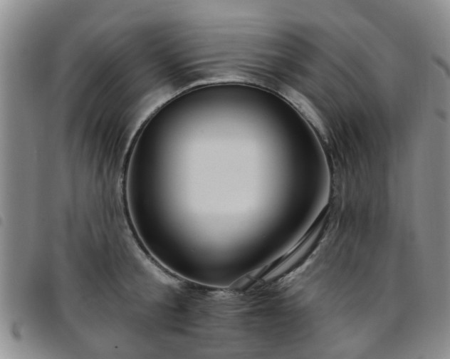 X0000097750805200803141555