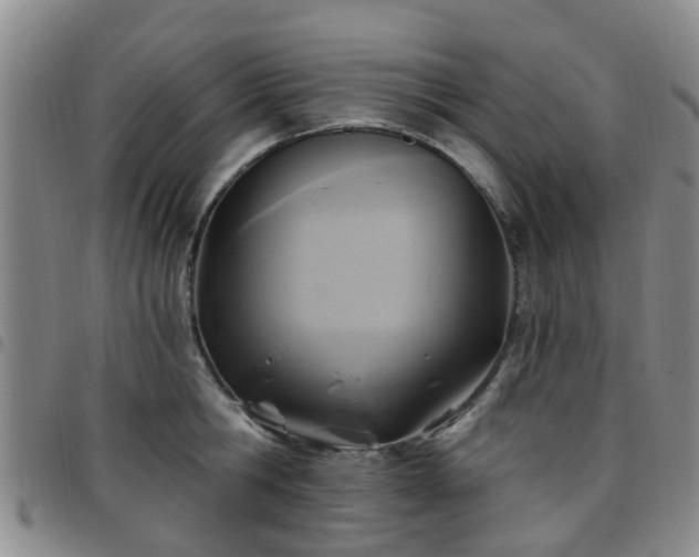 X0000097750806200803141555