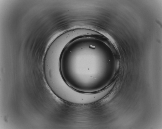 X0000097750807200803141555