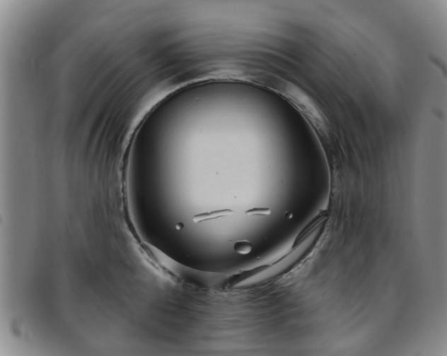 X0000097750808200803141555