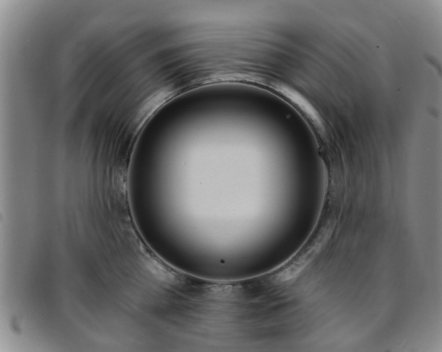 X0000097750809200803141555