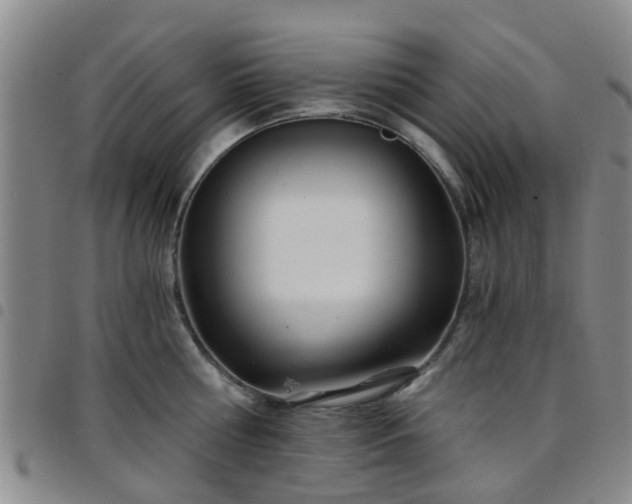 X0000097750810200803141555