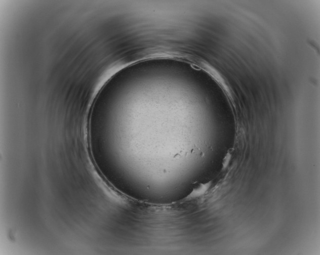 X0000097750811200803141555