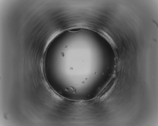 X0000097750812200803141555