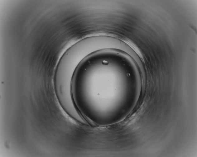 X0000097750813200803141555