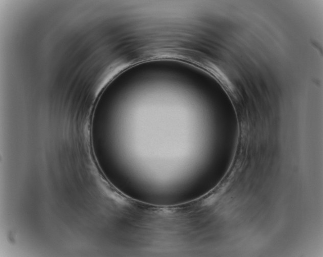 X0000097750814200803141555