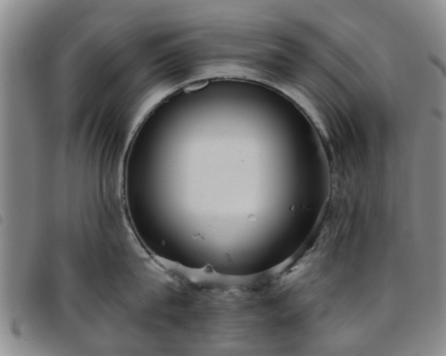 X0000097750815200803141555