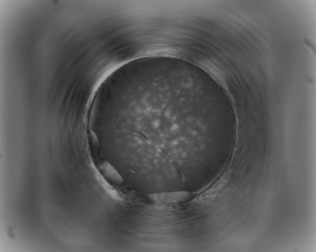 X0000097750816200803141555