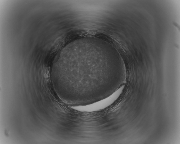 X0000097750818200803141554