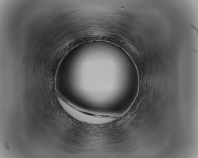 X0000097750821200803141554