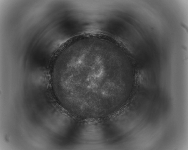 X0000097750822200803141554