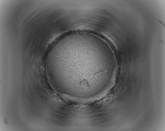 X0000097750823200803141554