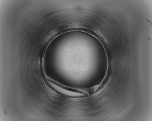 X0000097750825200803141555