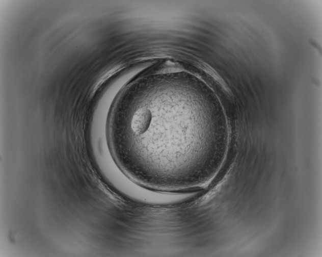 X0000097750826200803141555