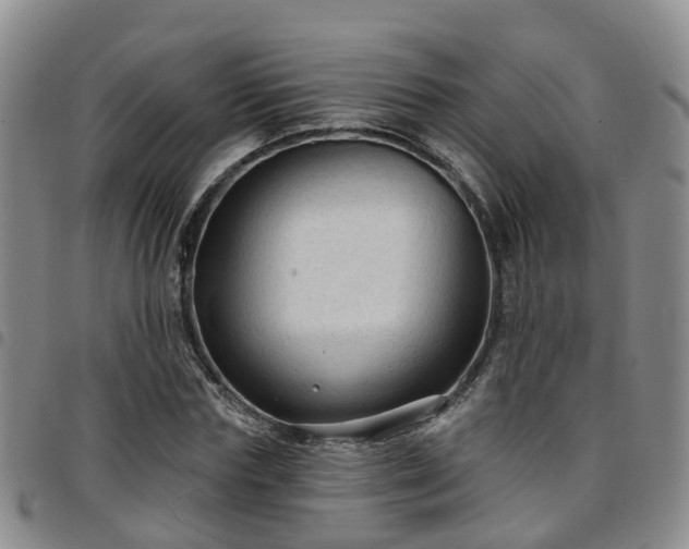 X0000097750827200803141555