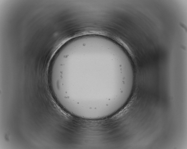 X0000097750828200803141555