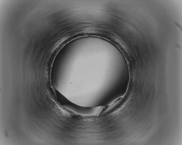 X0000097750829200803141555