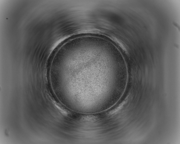 X0000097750830200803141555