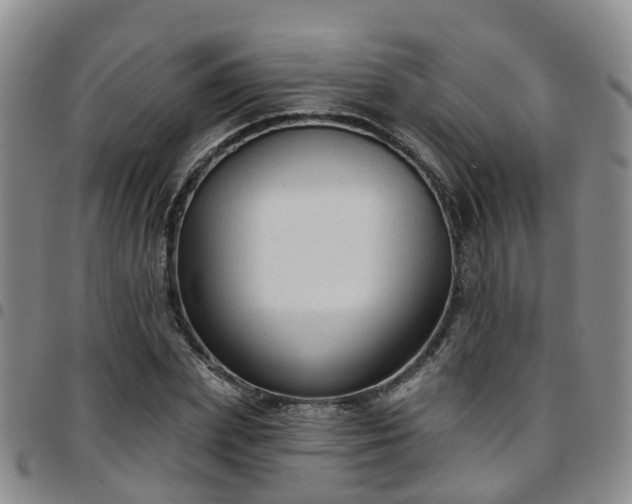 X0000097750831200803141555