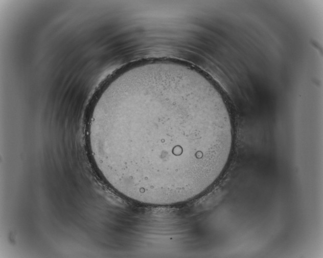 X0000097750832200803141555