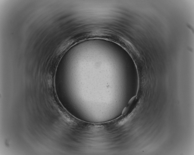 X0000097750833200803141555