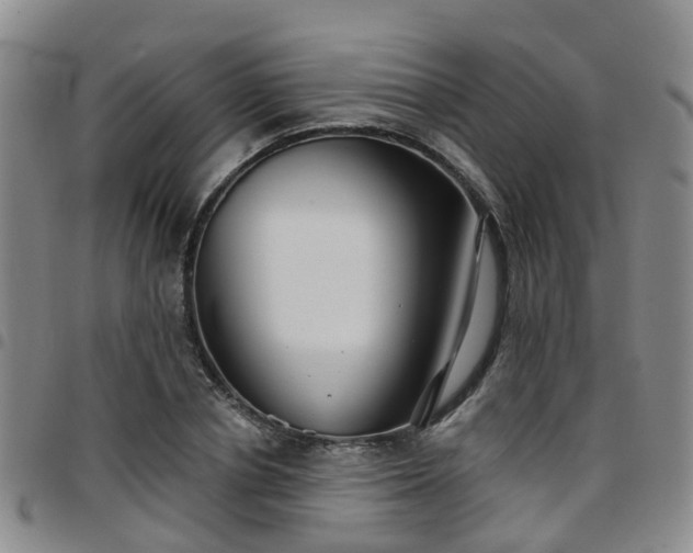 X0000097750834200803141555