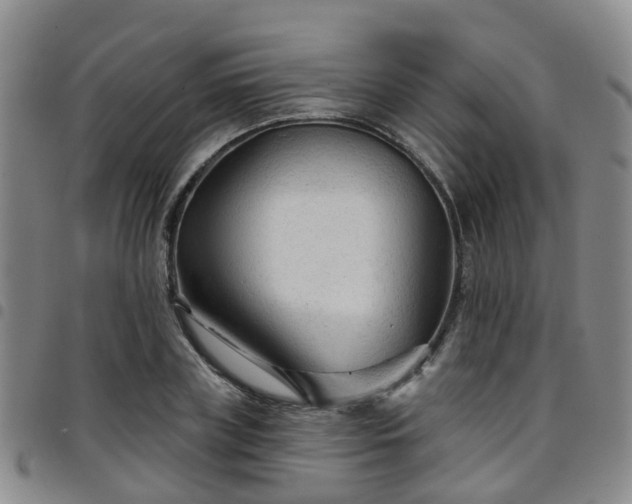 X0000097750835200803141555