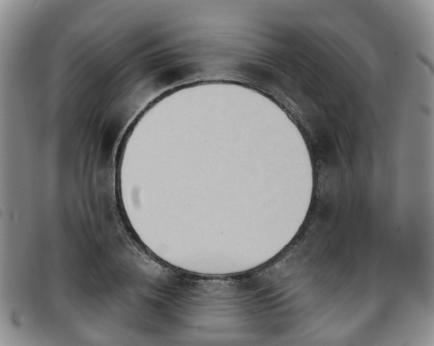 X0000097750836200803141555