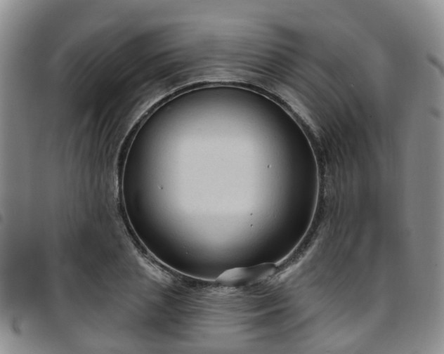 X0000097750837200803141555