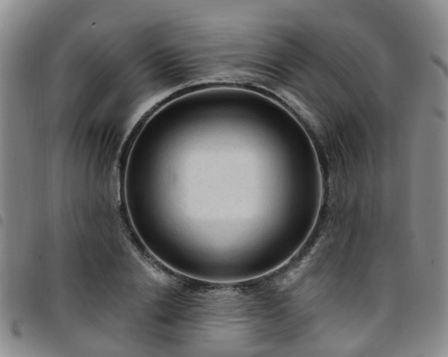 X0000097750838200803141555